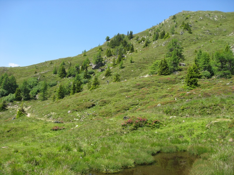 Wandeling vanaf de Lammsdorferhütte (9)